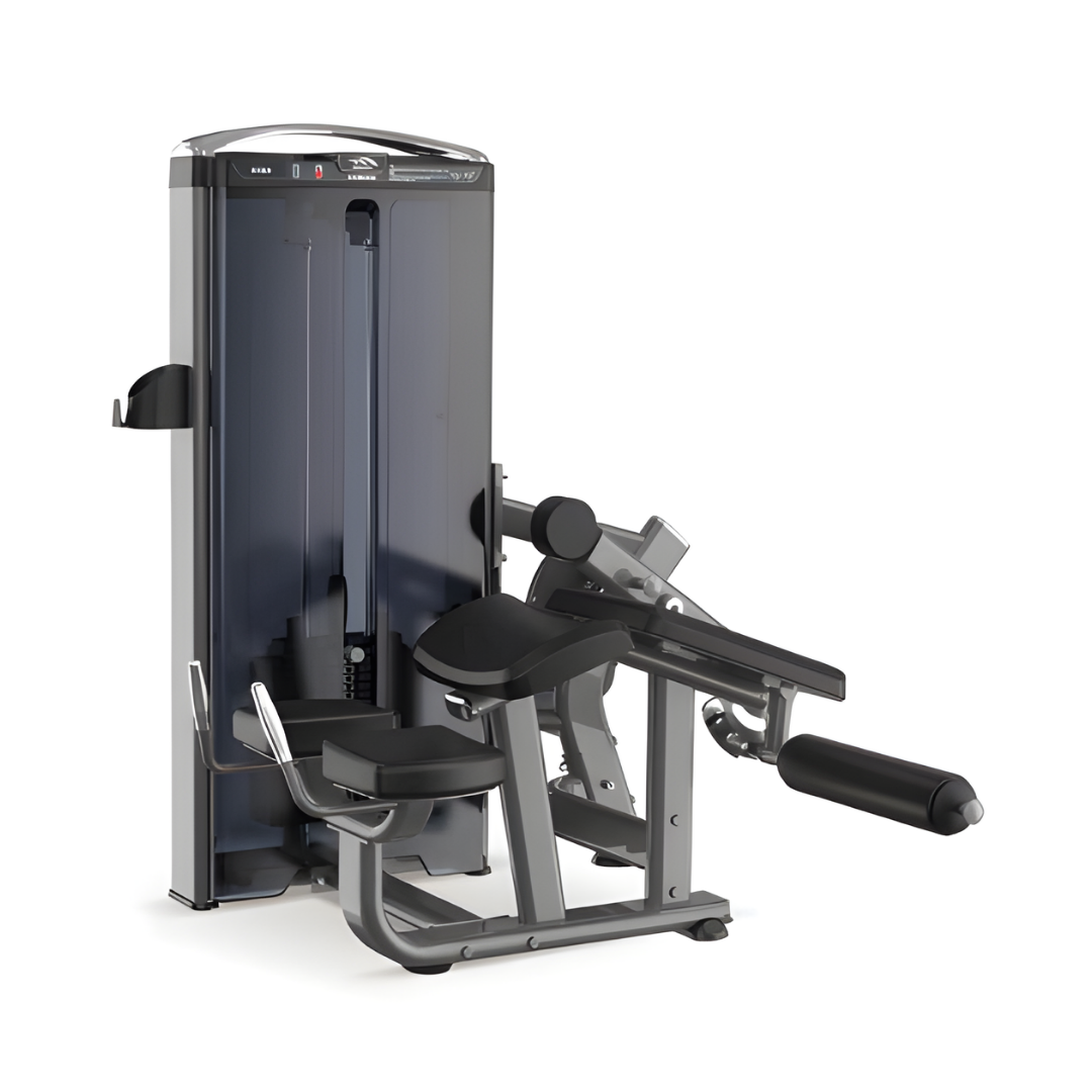 Horizontal Leg Curl | 300