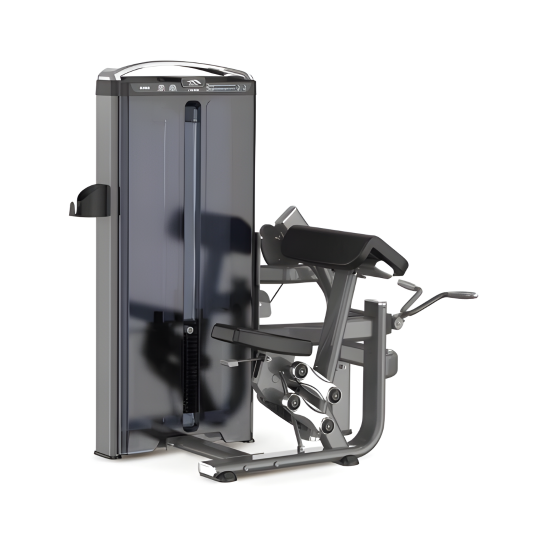Biceps Curl | 300