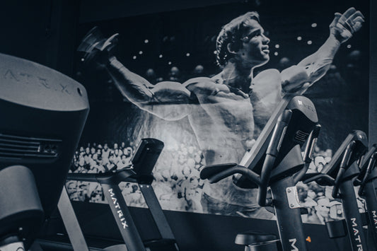 Mattersburg Gym – Strength & Performance Studio in Custom Design