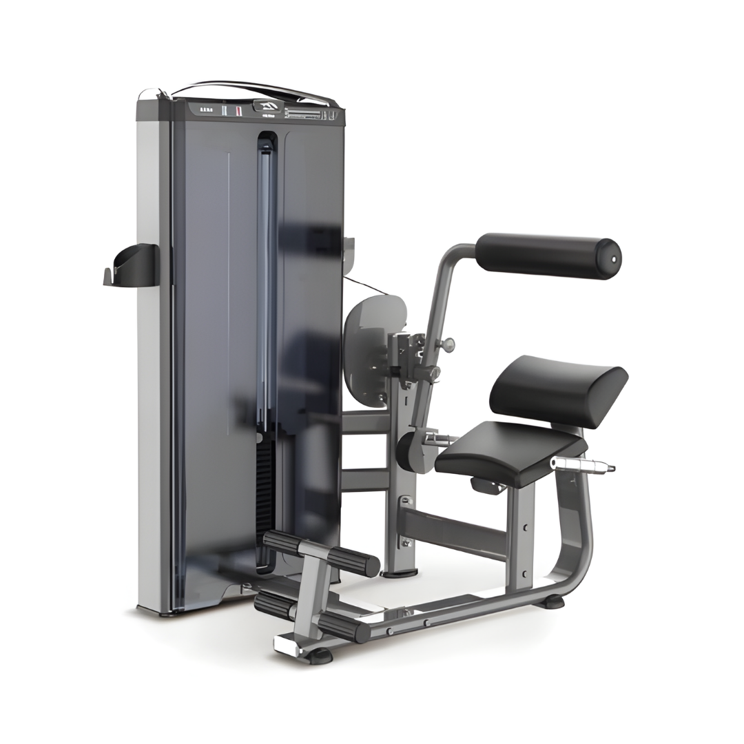 Lower Back | 300