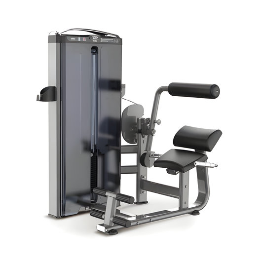 Lower Back | 300