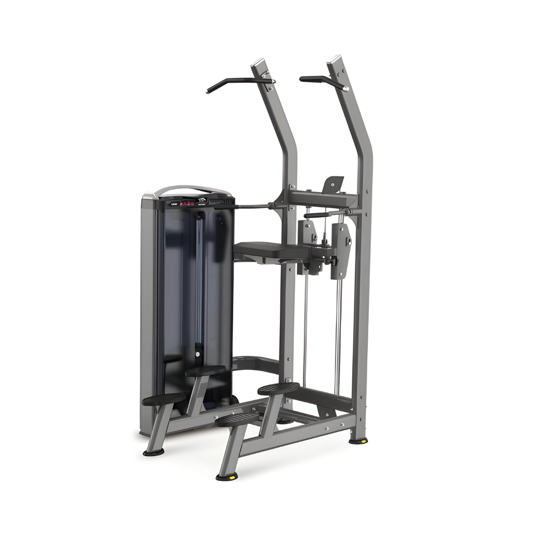 Assisted Chin/DIP | 300