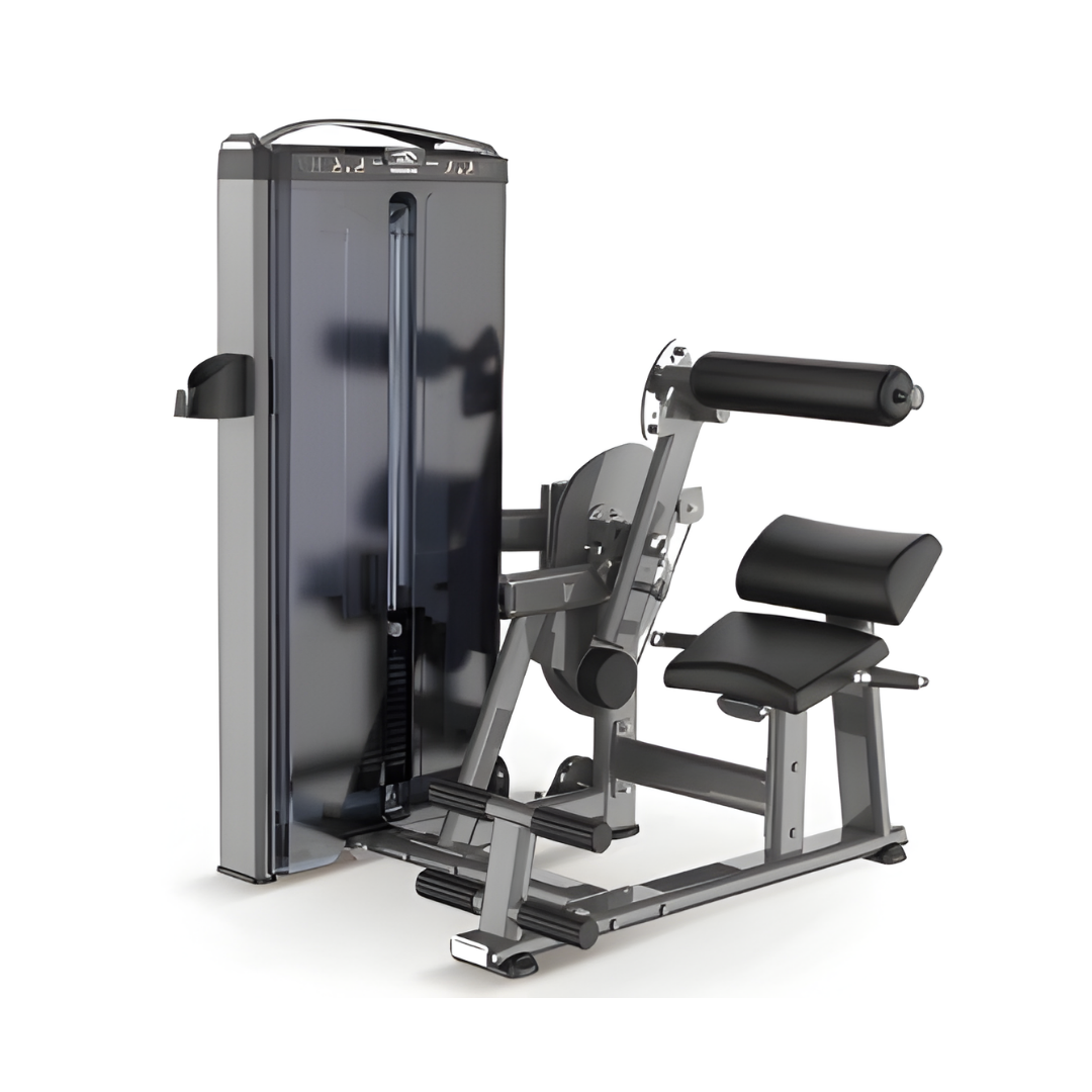 Lower Back/Abdominal | 300