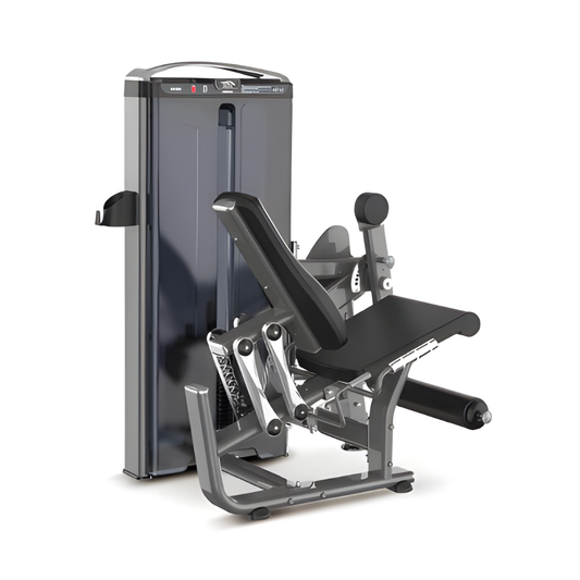 Leg Extension | 300